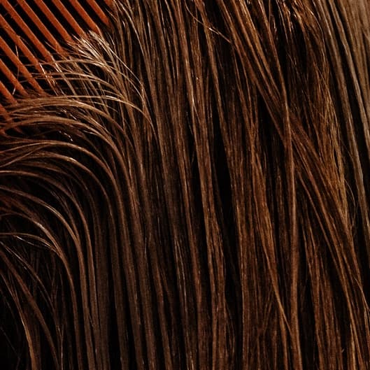 Men’s Monthly Club at B. Nicole Salon in Grinnell, IA